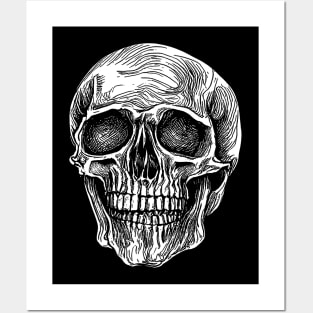 Skull Pen Drawing Posters and Art